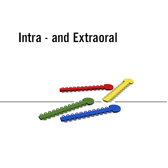 Thun – Intraoral_elastomere