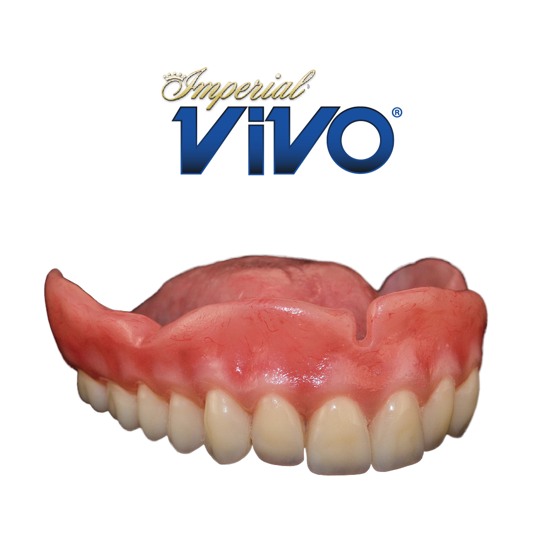 R ng Nh a Justi Vivo VITA Shade NhaKhoaThaiBinhDuong R ng Nh a Justi Vivo VITA Shade NhaKhoaThaiBinhDuong