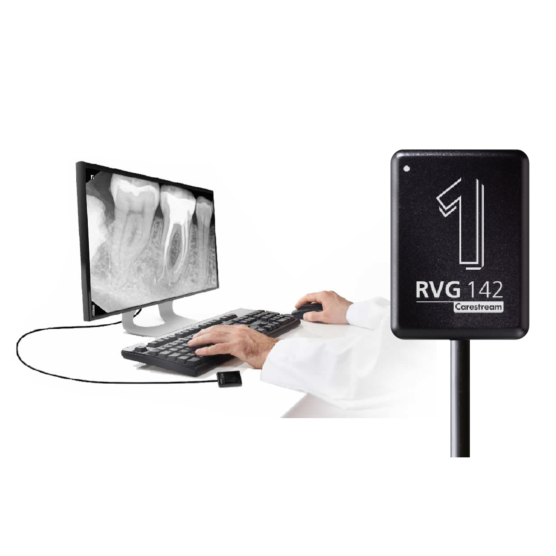 Sensor RVG 142